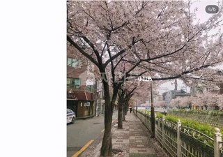 서울 성북구 삼선동4가 원룸 매물