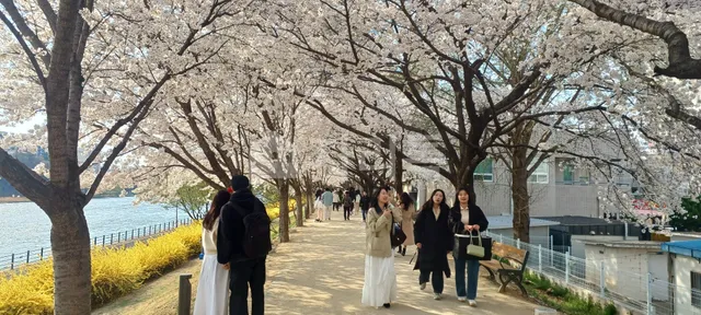 대구 동구 검사동 1022-26 사진 3