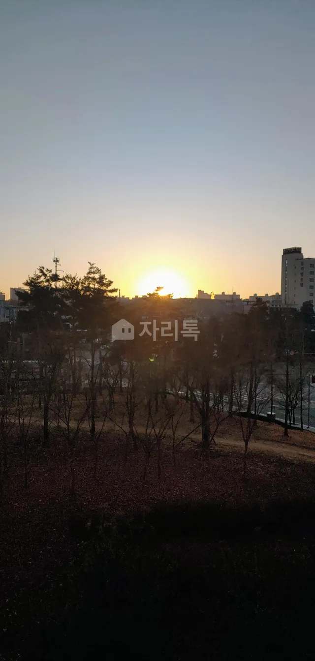 경기 안산시 단원구 신길동 1563 대표 사진
