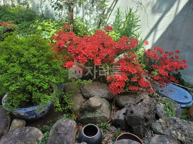 대구 수성구 지산동 536-2 사진 4