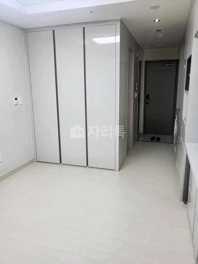 인천 중구 운서동 3088-8 대표 사진
