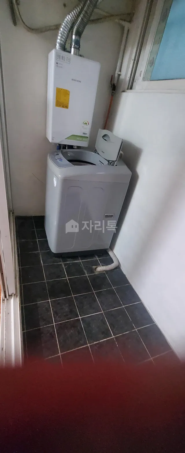 경북 포항시 북구 죽도동 656-24 사진 3