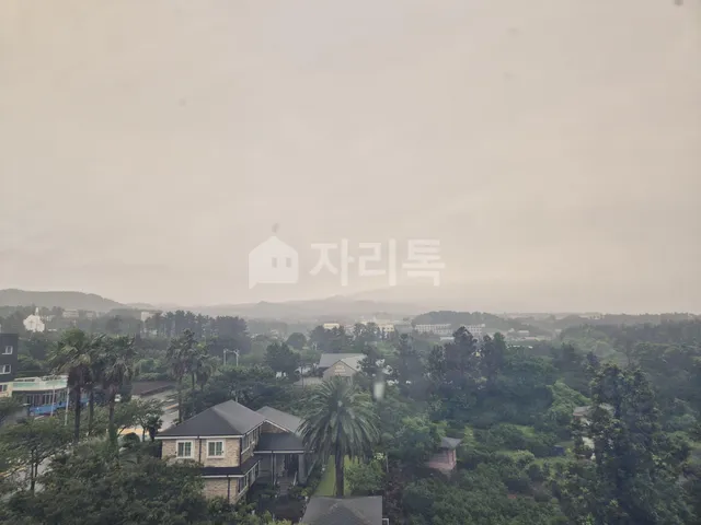 제주특별자치도 서귀포시 상예동 592-1 대표 사진