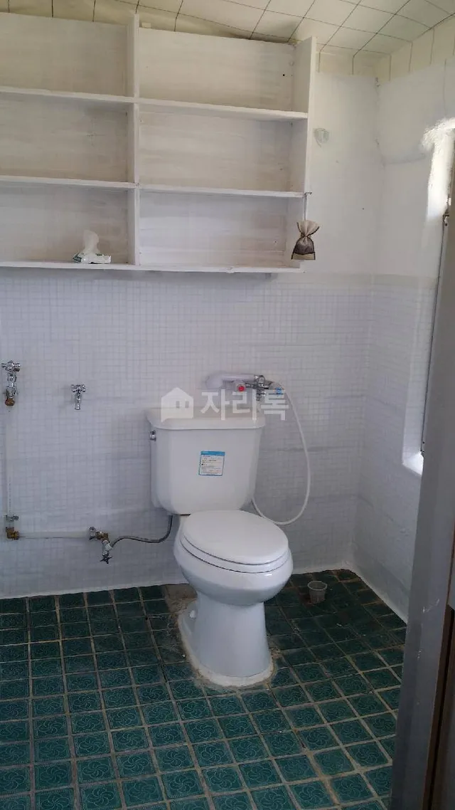 경북 포항시 북구 청하면 서정리 663-1 사진 3