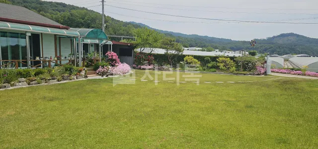 경북 성주군 월항면 용각리 129-1 사진 2