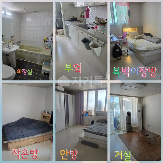 부산 사하구 장림동 60-39 대표 사진