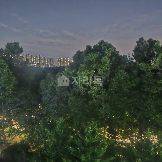 경기 시흥시 정왕동 2164-2 대표 사진