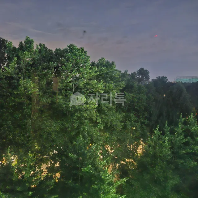 경기 시흥시 정왕동 2164-2 사진 2