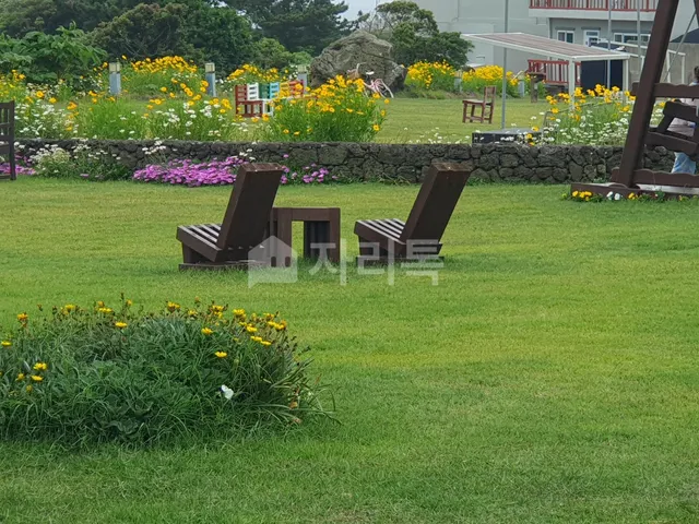 제주특별자치도 서귀포시 성산읍 신산리 680-5 사진 2