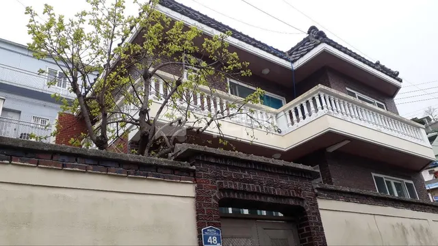 부산 영도구 동삼동 222-77 대표 사진
