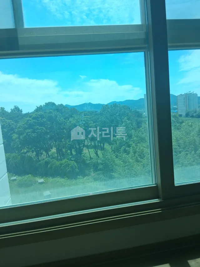 전남 함평군 월야면 월야리 1193 대표 사진