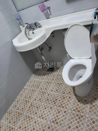 경북 포항시 남구 오천읍 원리 원룸 매물