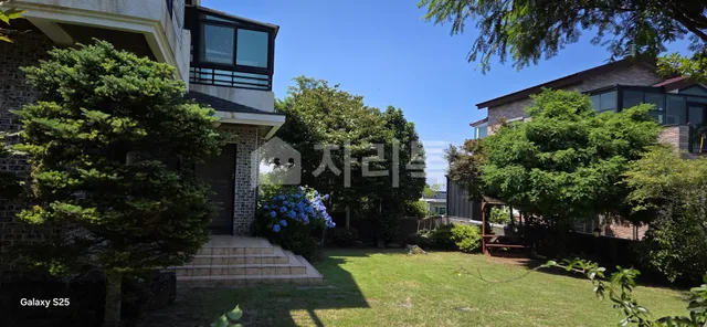 제주특별자치도 제주시 조천읍 와흘리 247-6 사진 2