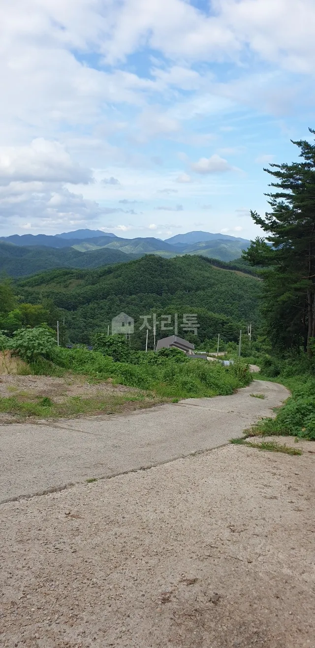 경북 영양군 영양읍 황용리 261 사진 3