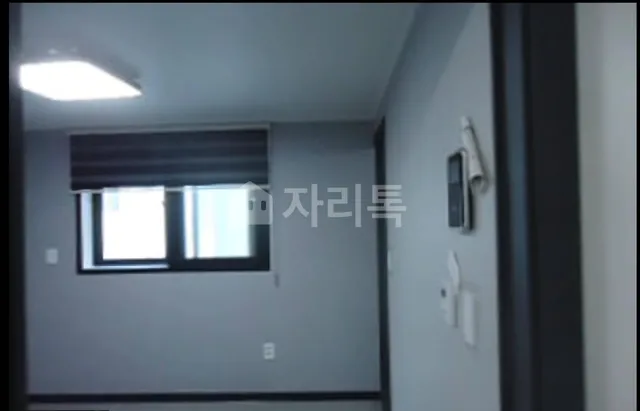 대전 서구 월평동 482 사진 3