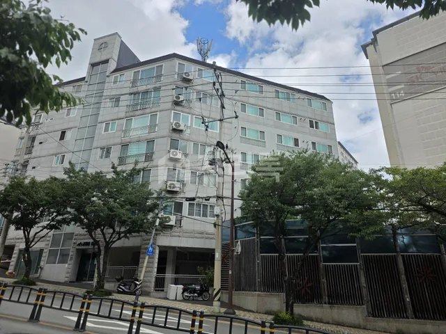 부산 금정구 장전동 521-95 대표 사진