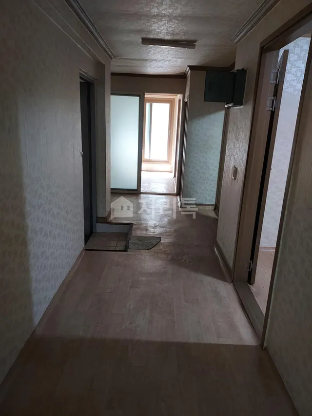 부산 사하구 구평동 117-1 사진 2