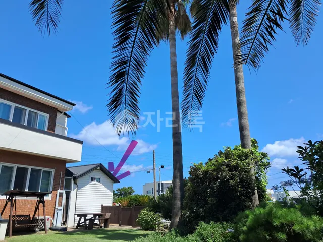 제주특별자치도 제주시 한림읍 옹포리 631-1 대표 사진