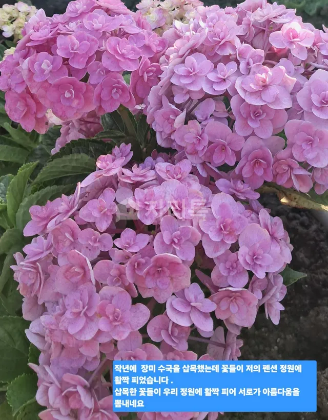 제주특별자치도 제주시 한림읍 옹포리 631-1 사진 3