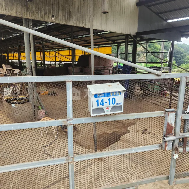 경남 합천군 묘산면 봉곡리 383 대표 사진