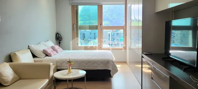 제주특별자치도 서귀포시 성산읍 성산리 392 사진 3