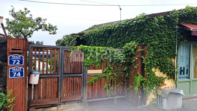 제주 서귀포시 서호동 255 대표 사진