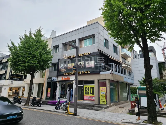 서울 강남구 신사동 541 대표 사진