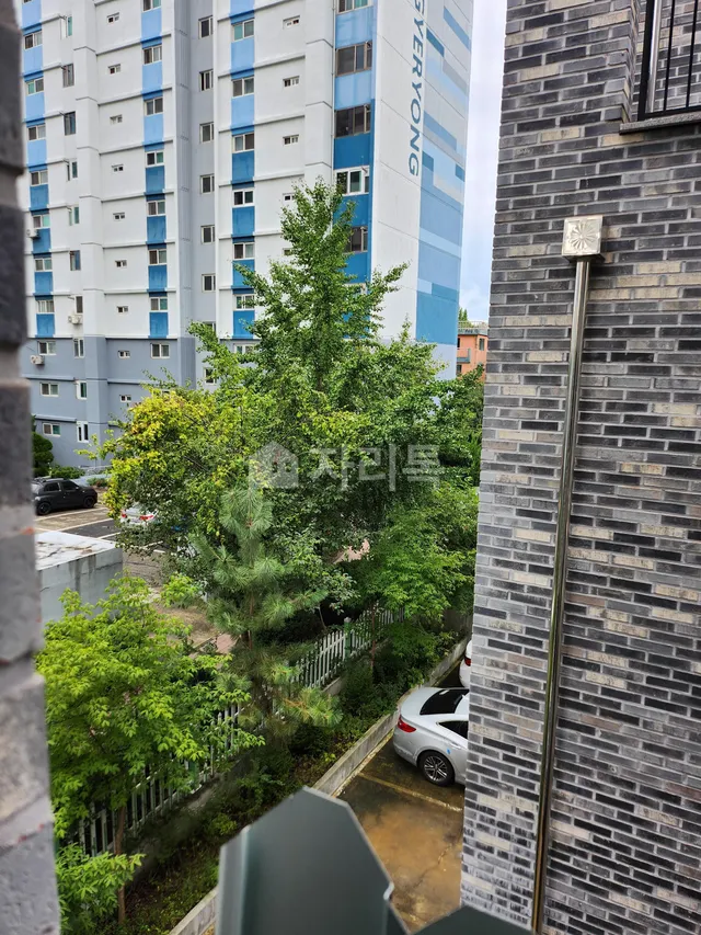 대전 중구 대사동 248-591 대표 사진