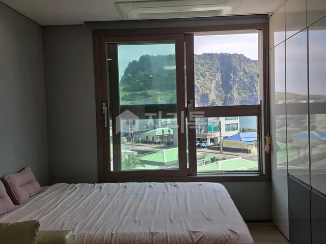 제주특별자치도 서귀포시 성산읍 성산리 392 사진 2