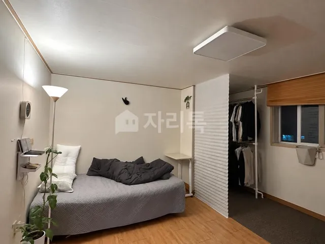 서울 강남구 개포동 1237-6 대표 사진