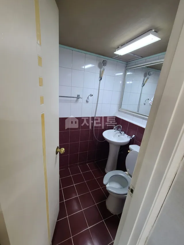 강원특별자치도 속초시 교동 620 사진 3