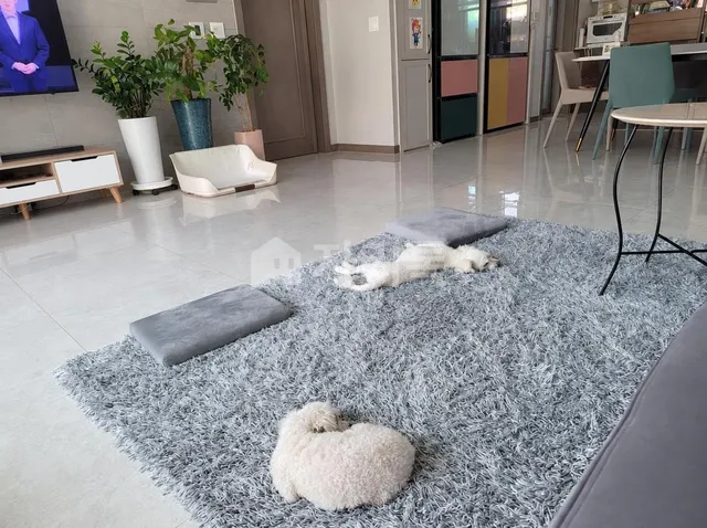 충남 아산시 배방읍 공수리 1735 사진 2