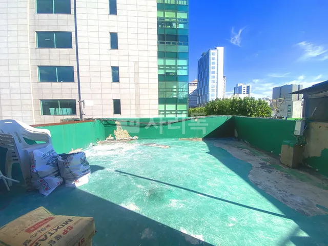 서울 성동구 도선동 253-10 대표 사진