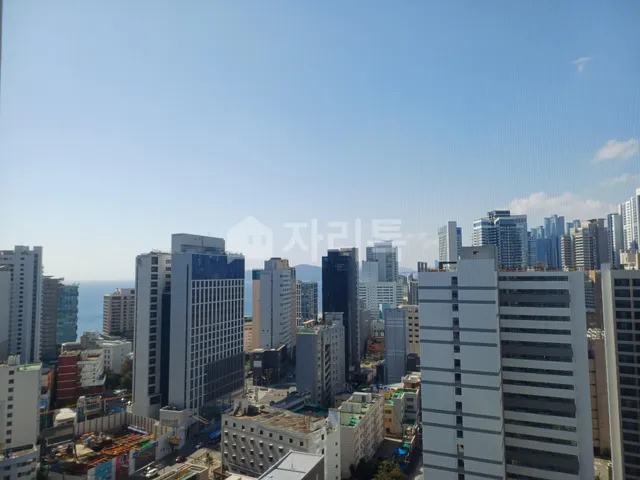 부산 해운대구 중동 1234-1 대표 사진