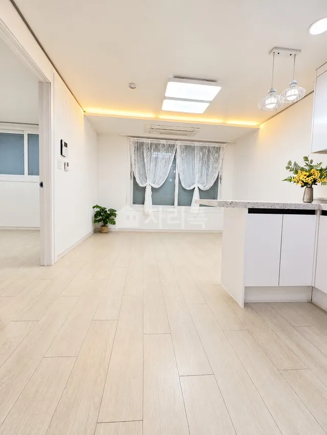 경기 수원시 권선구 세류동 565-20 대표 사진